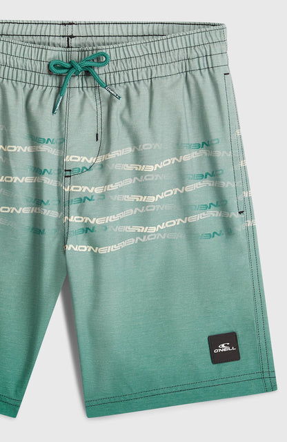 O'Neill First Swimshorts Kids - Boys Green Heritage Flip
