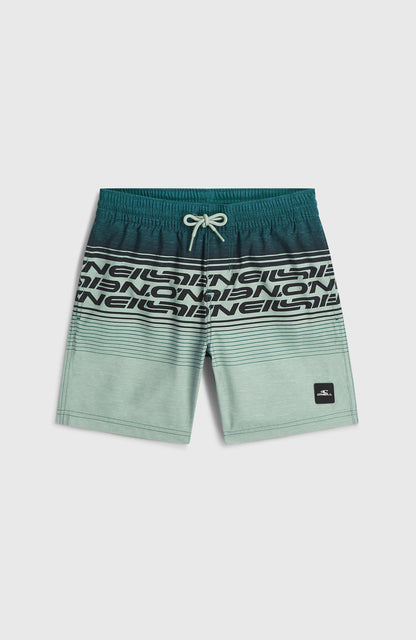 O'Neill Logo Stripe Swimshorts Kids - Boys Green Heritage O'Neill