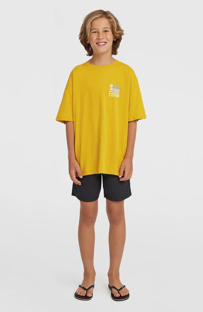O'Neill Vert Swimshorts Kids - Black Out