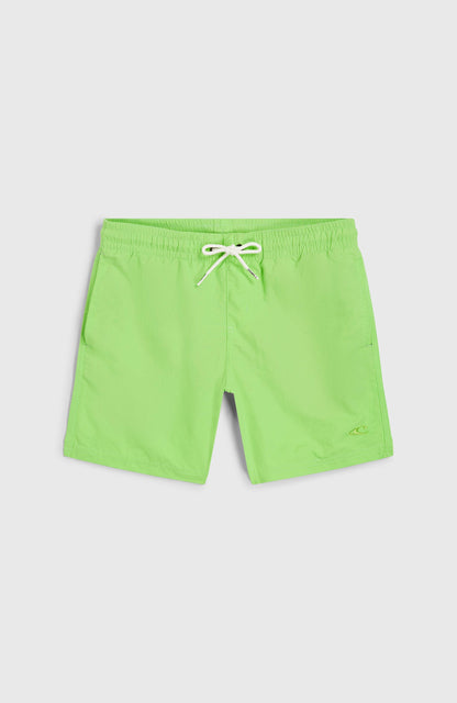 Vert 14'' Swim Shorts Kids - Paradise Valley