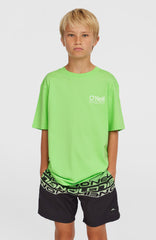 Cali Stripe 14'' Swim Shorts Kids - Green Upside Down