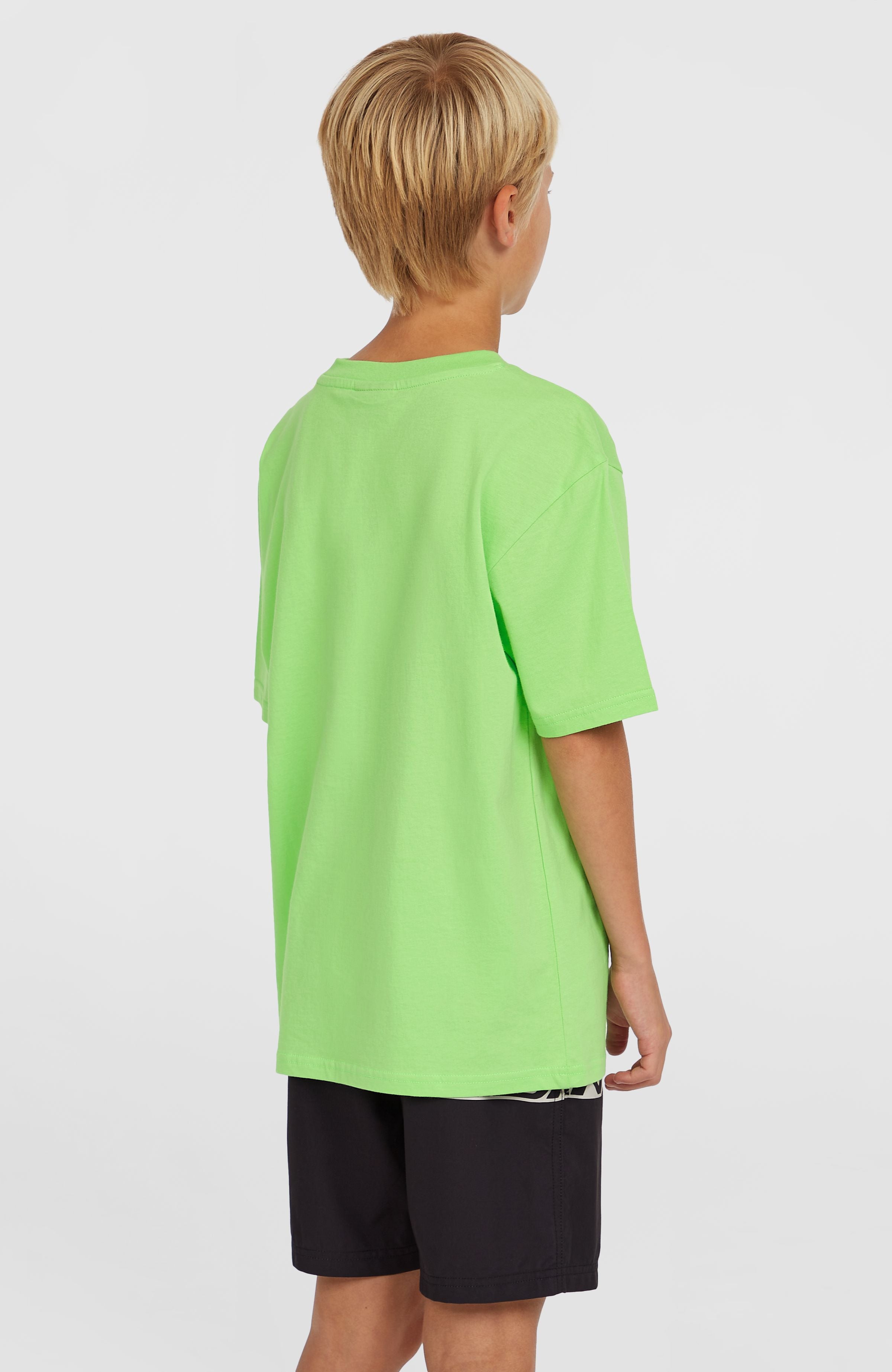 Cali Stripe 14'' Swim Shorts Kids - Green Upside Down