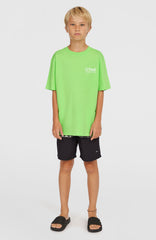 Cali Stripe 14'' Swim Shorts Kids - Green Upside Down