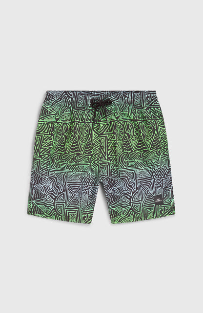 Cali 14'' Swim Shorts Kids - Blue Gradikat