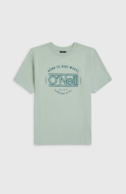 O'Neill Muir T-Shirt Kids - Marble Arch