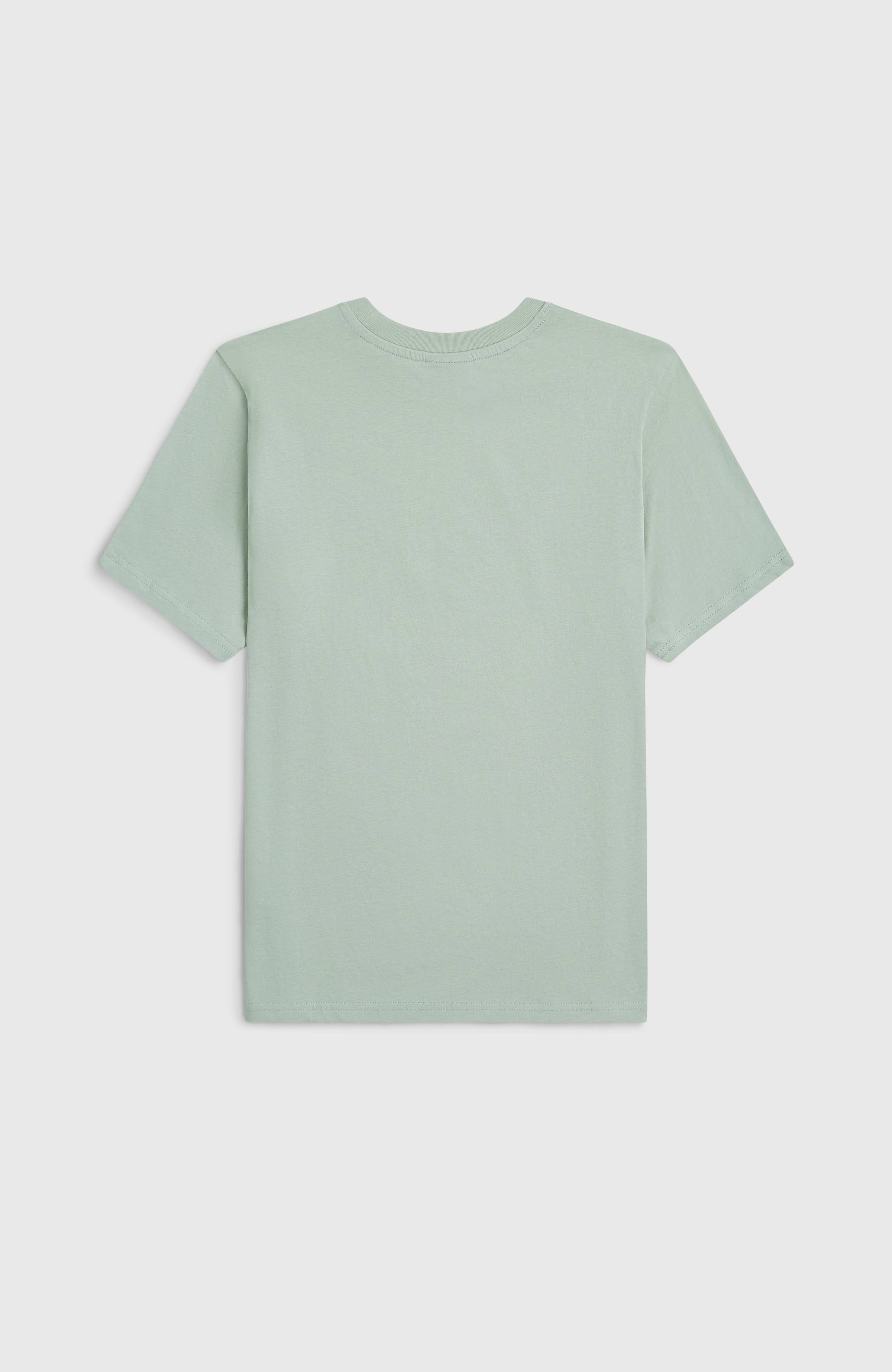 O'Neill Muir T-Shirt Kids - Marble Arch