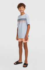 O'Neill Logo Stripe T-Shirt Kids - Spindle