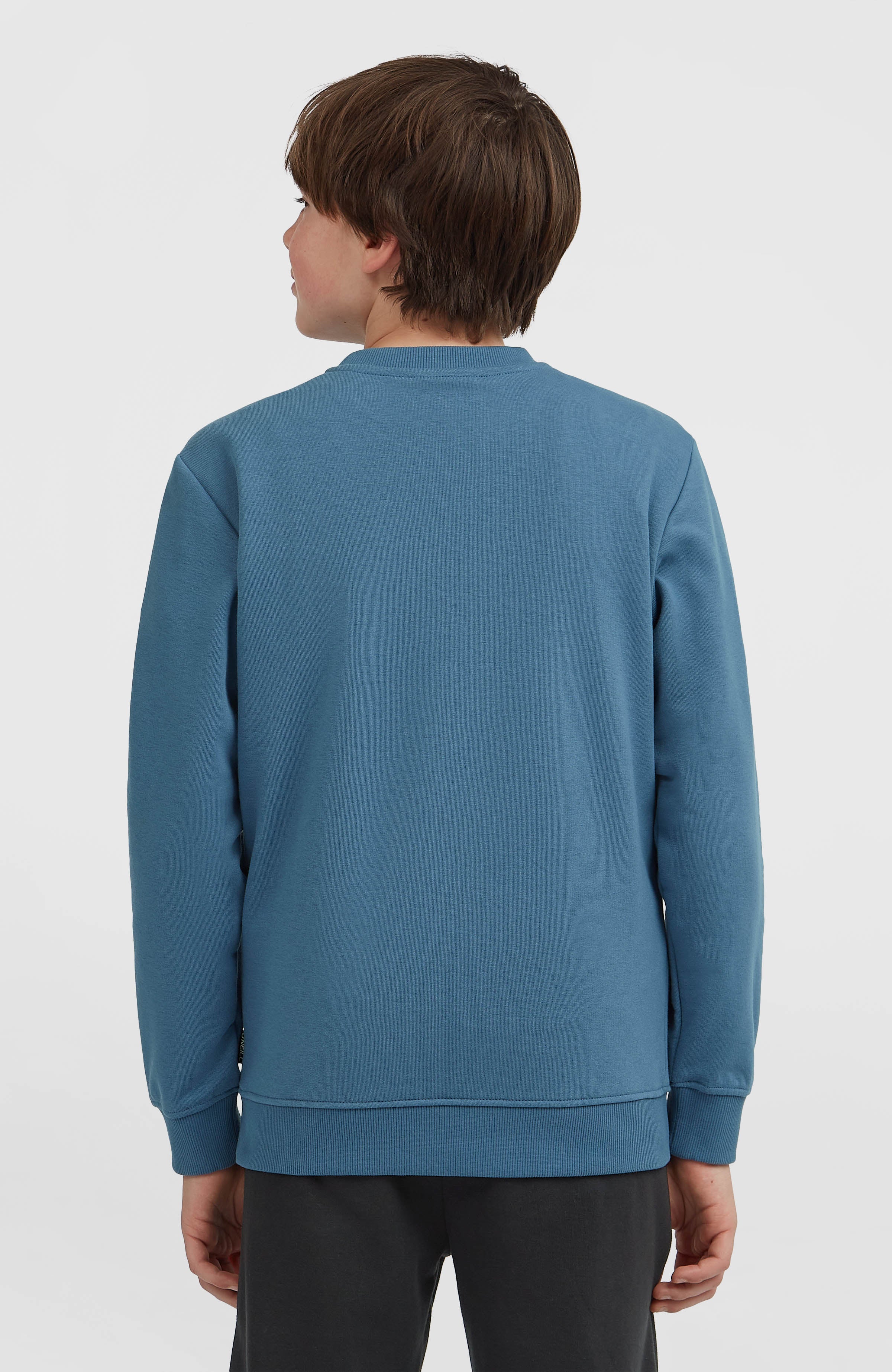 Essentials Crew Sweatshirt Kids - Mozart Blue