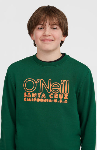 Essentials Crew Sweatshirt Kids - Emerald Envy