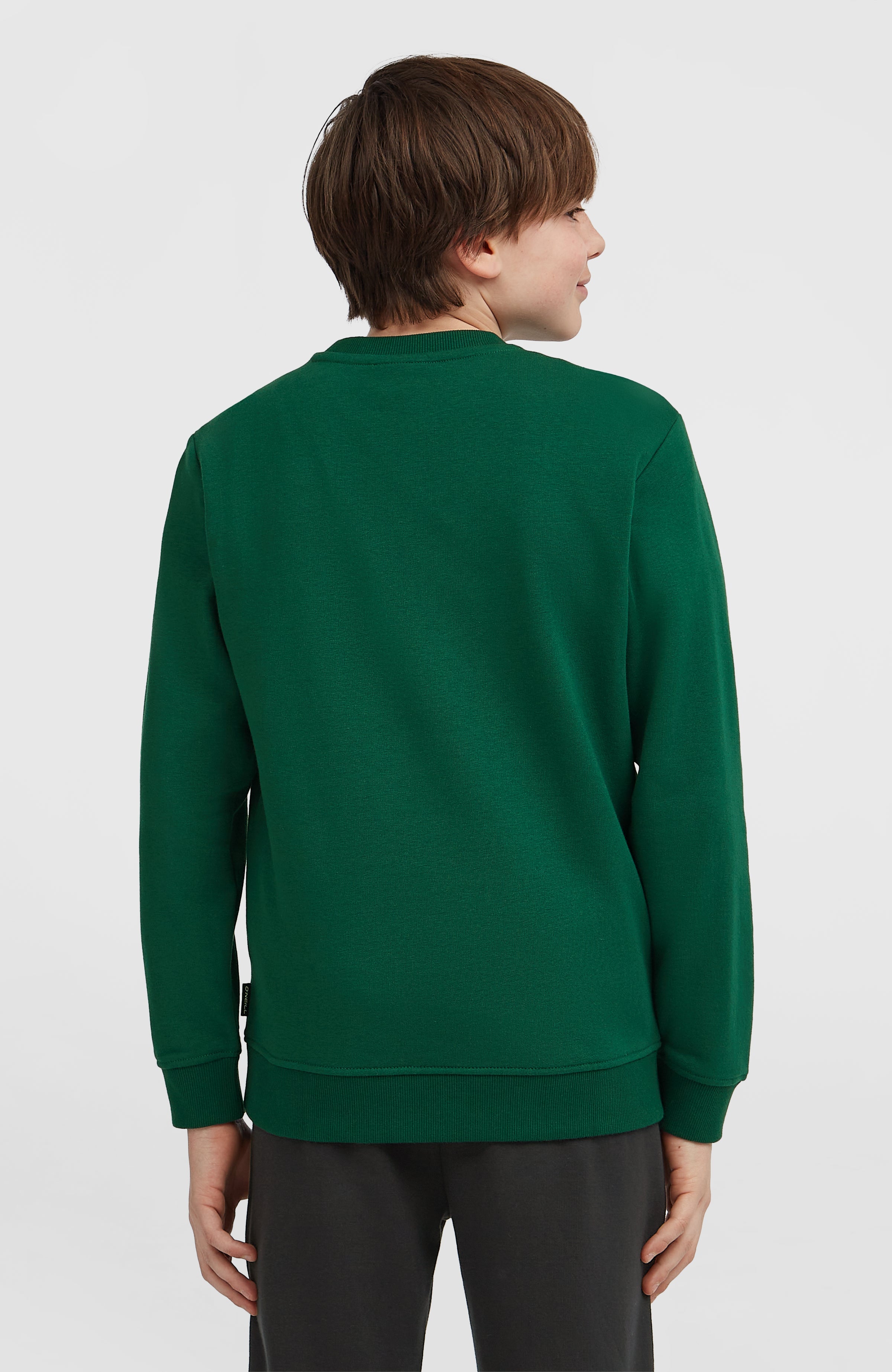 Essentials Crew Sweatshirt Kids - Emerald Envy