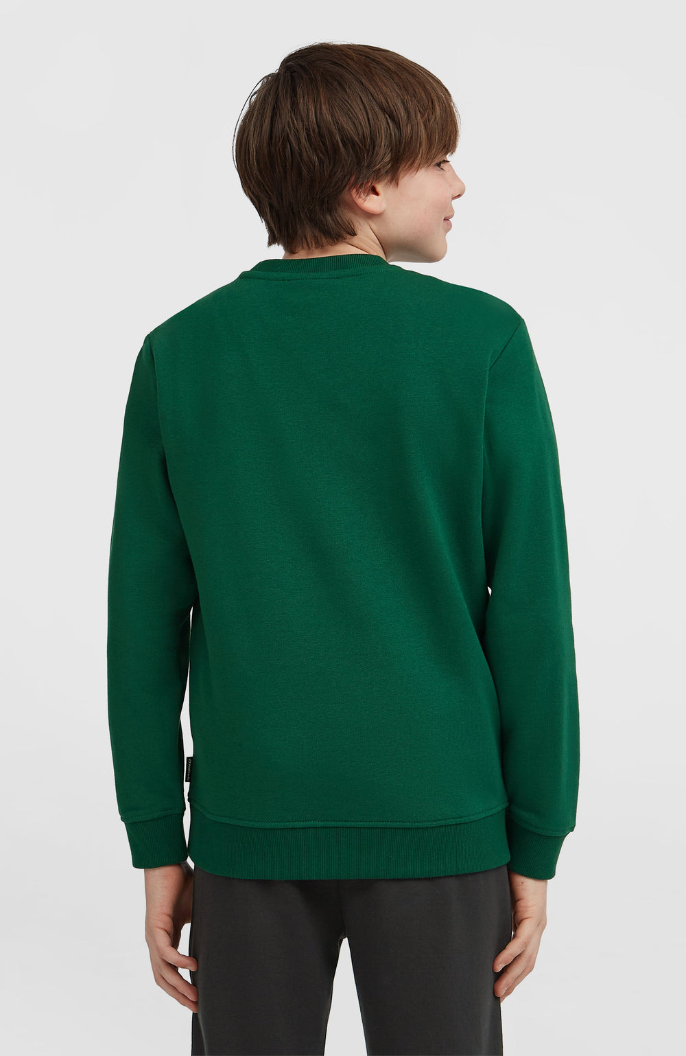Essentials Crew Sweatshirt Kids - Emerald Envy