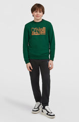 Essentials Crew Sweatshirt Kids - Emerald Envy