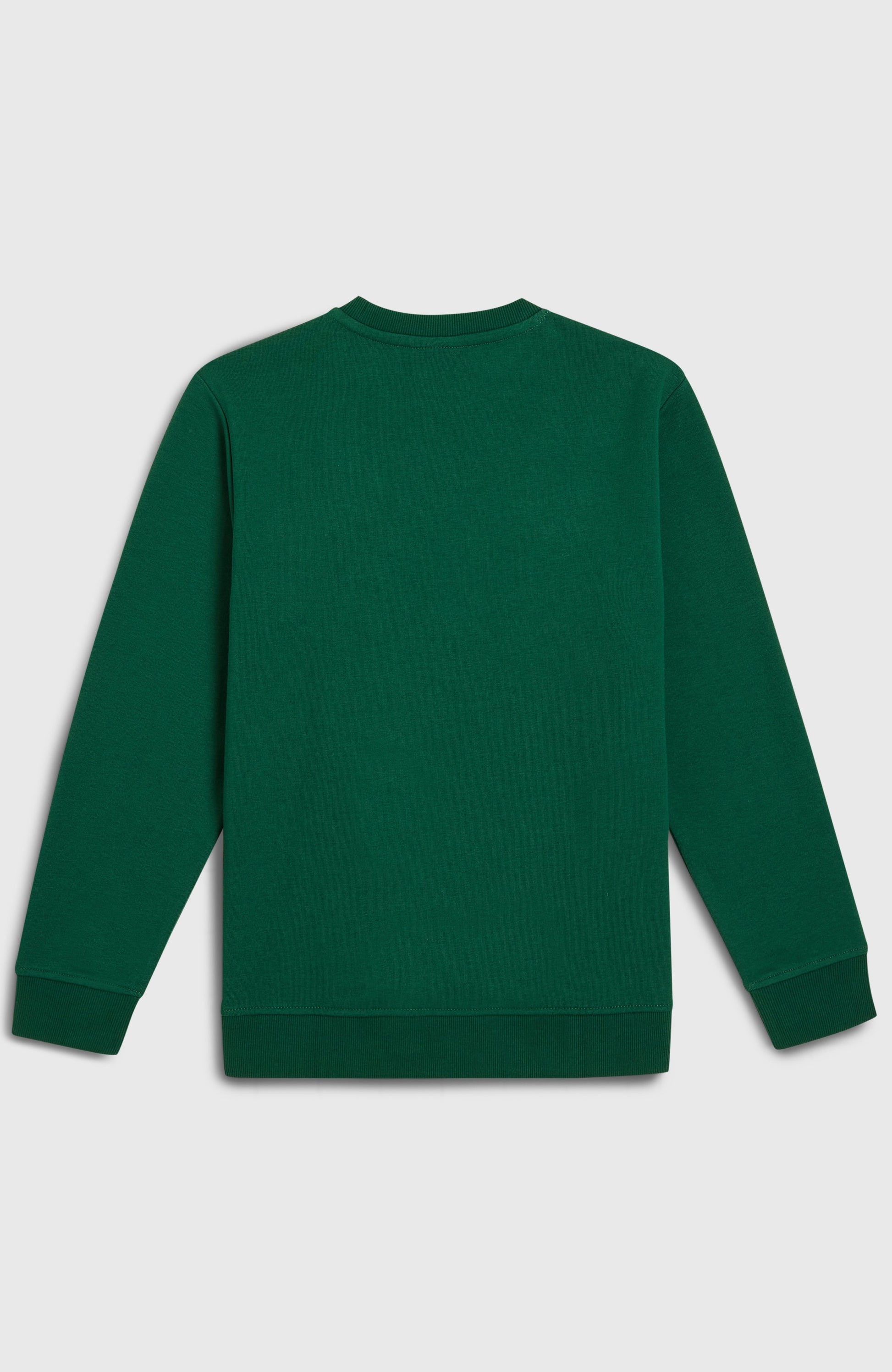 Essentials Crew Sweatshirt Kids - Emerald Envy