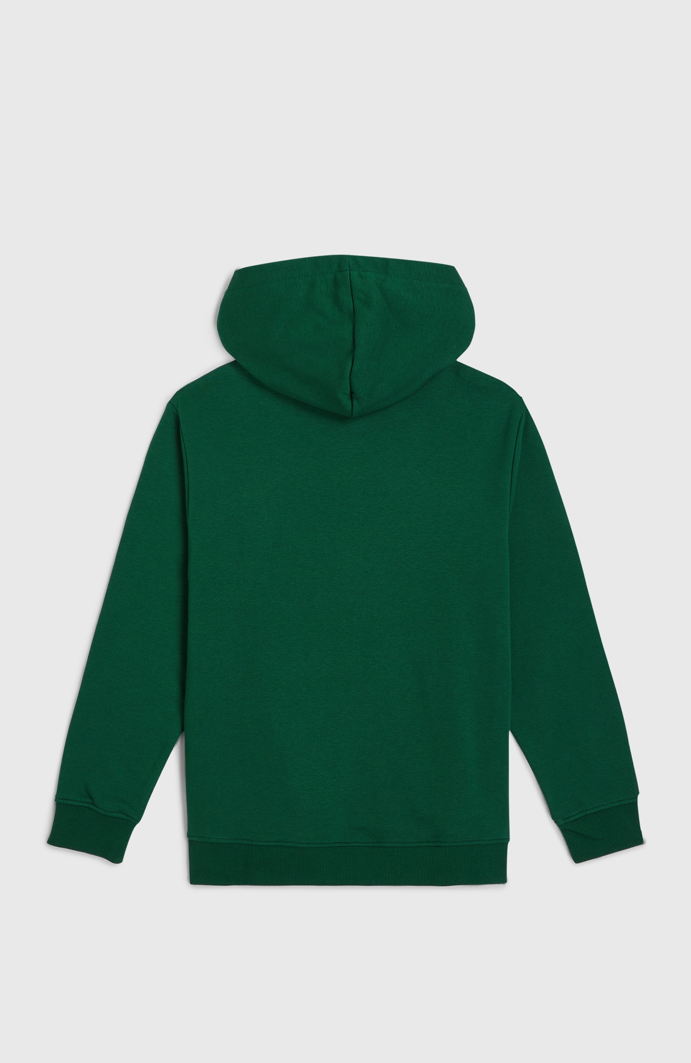 Essentials Hoodie Kids - Emerald Envy