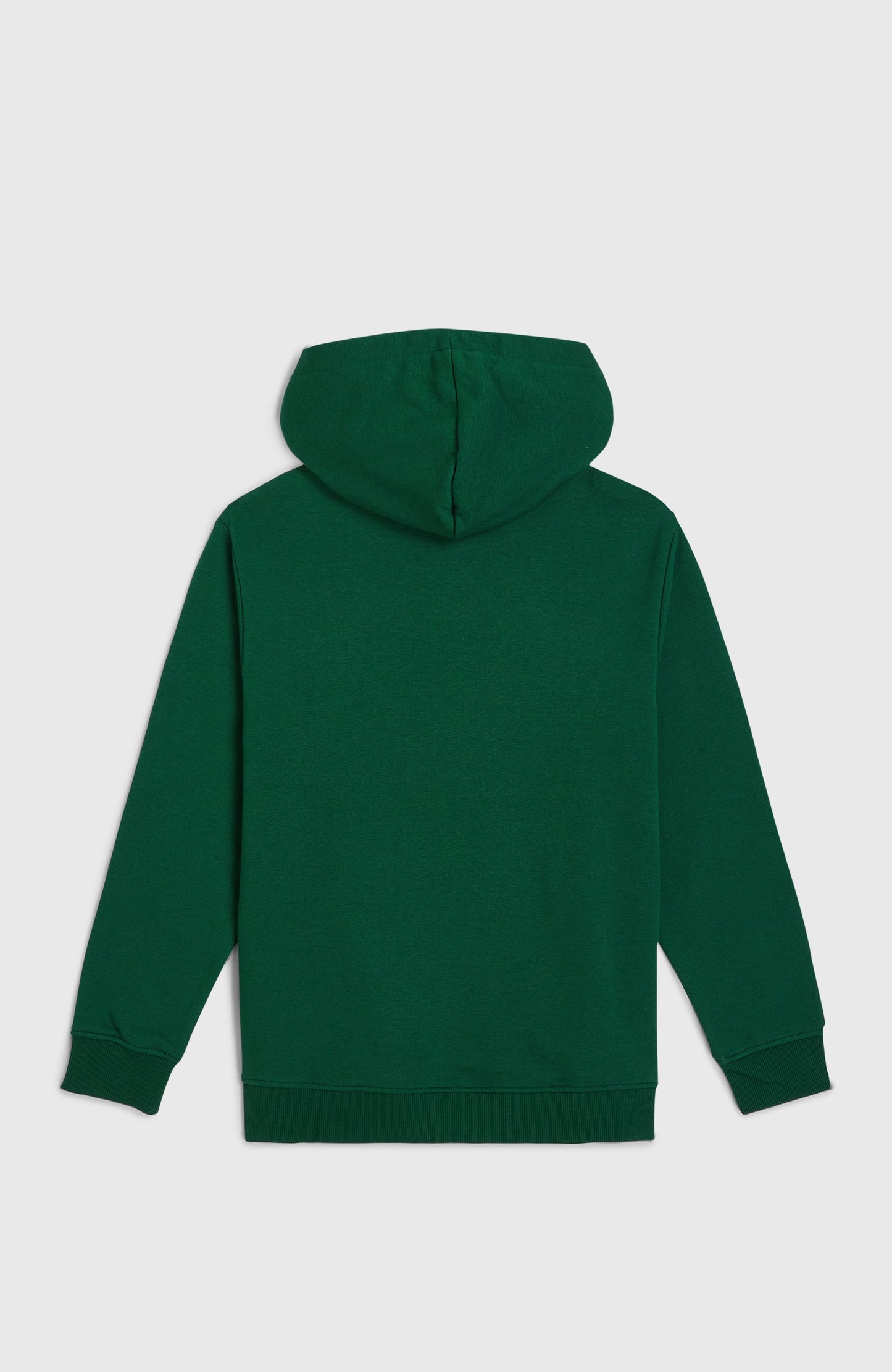 Essentials Hoodie Kids - Emerald Envy