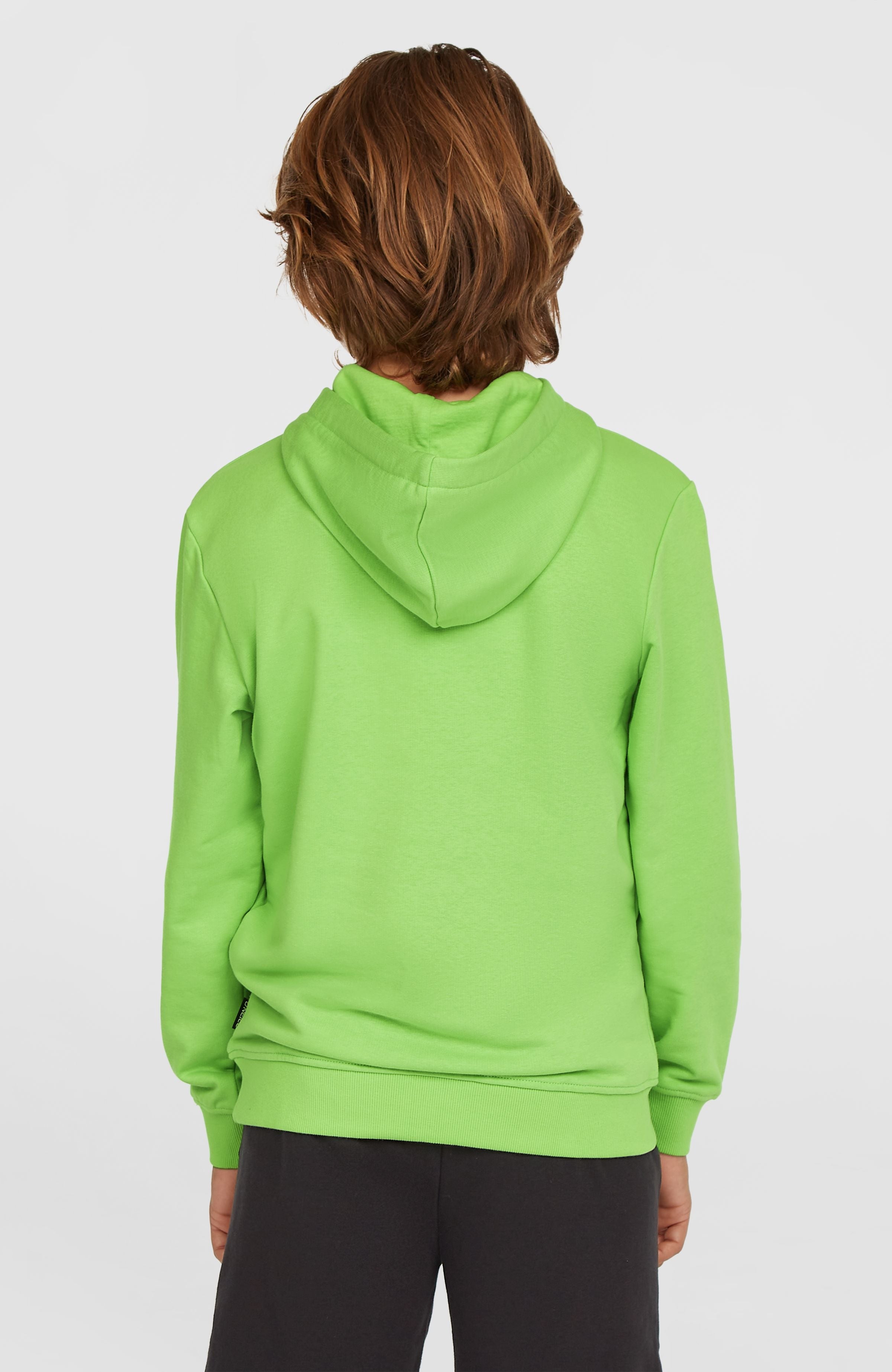 Logo Hoodie Kids - Paradise Valley