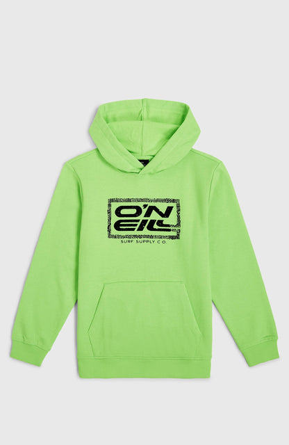 Logo Hoodie Kids - Paradise Valley