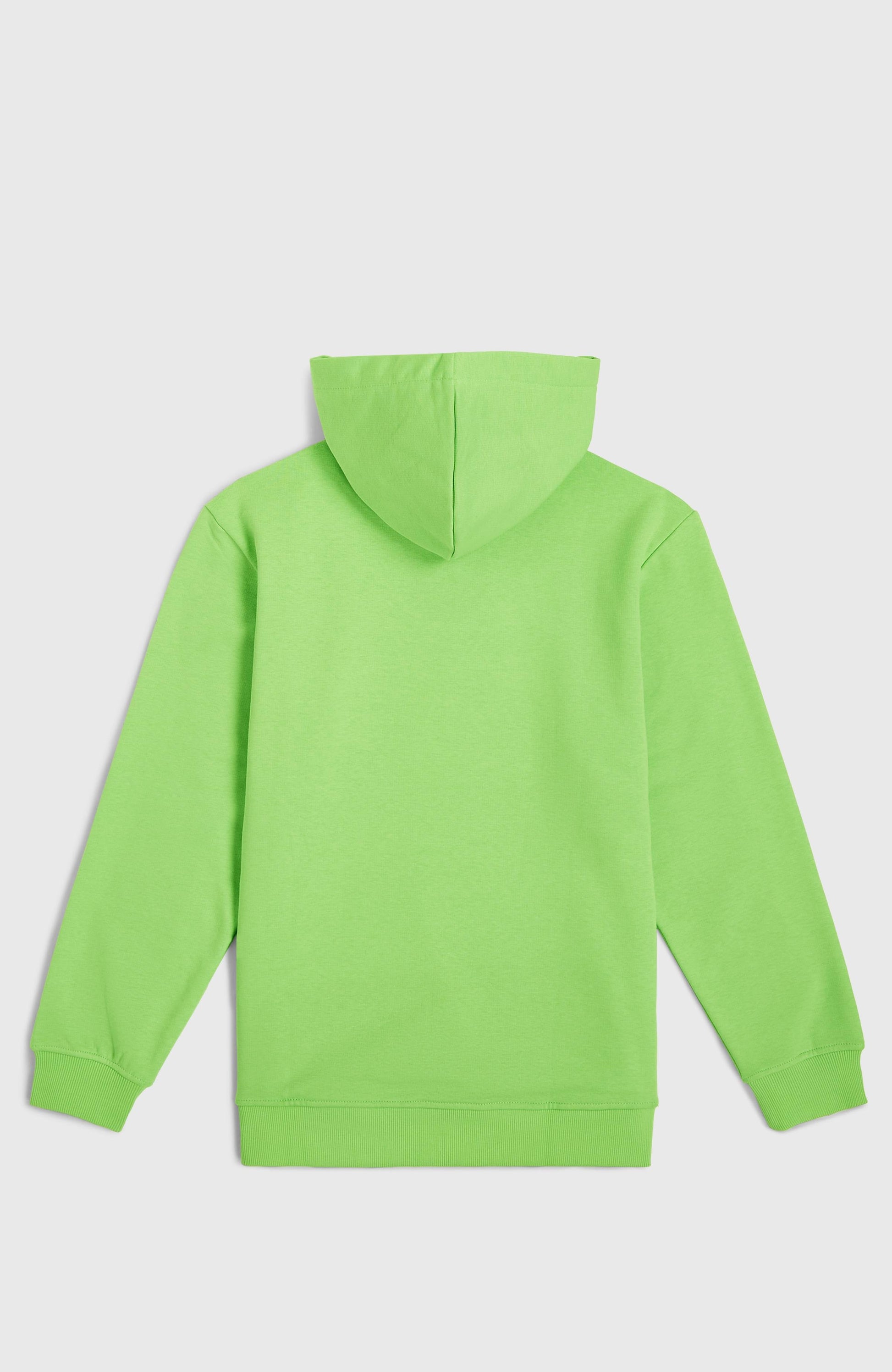 Logo Hoodie Kids - Paradise Valley