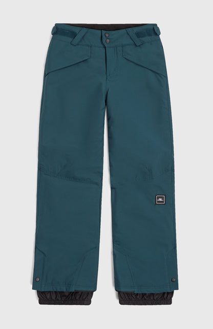 Hammer Snow Pants Kids - Alma Steel
